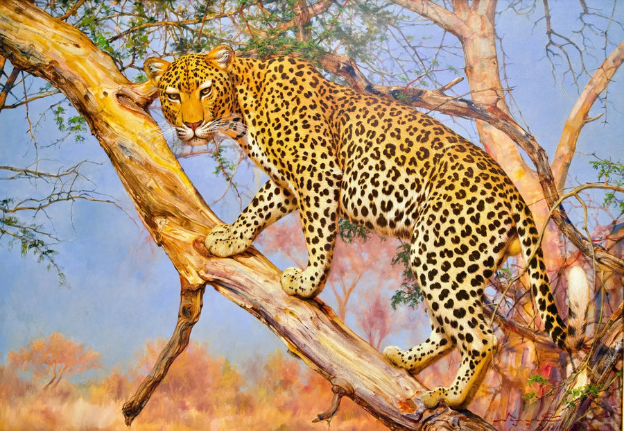 Løve i et træ | 150 x 100 cm