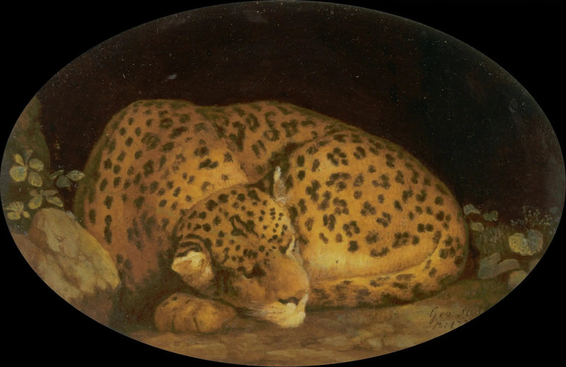 Soveende Leopard - George Stubbs