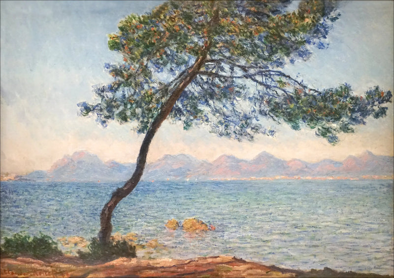 De antibakterielle - Claude Monet