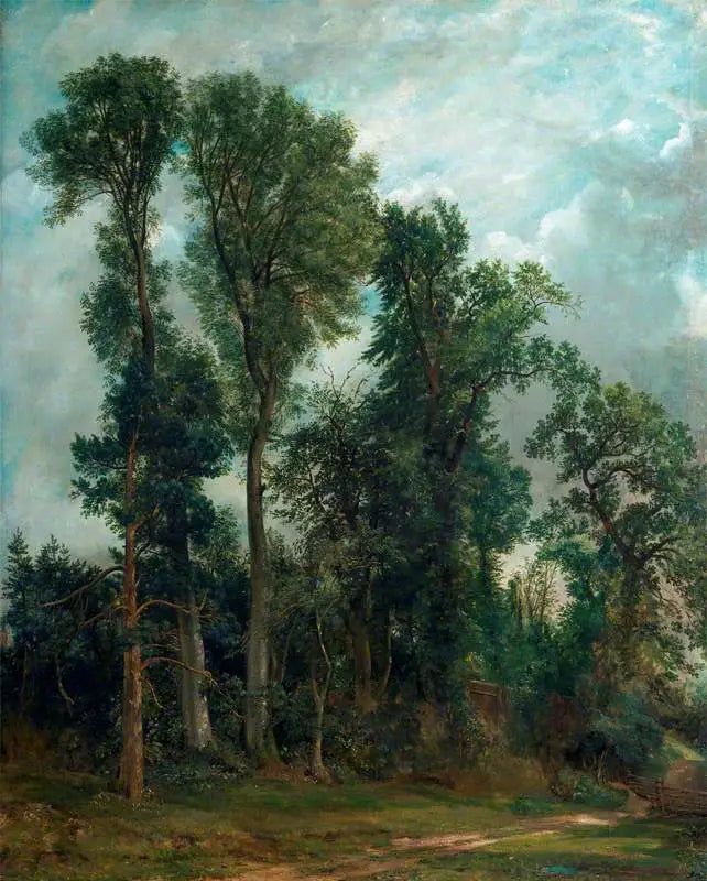 Hampstead-træerne: vejen til kirken - John Constable