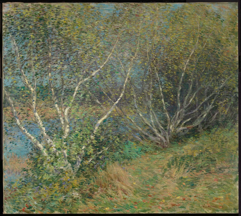Birketræerne - Willard Metcalf
