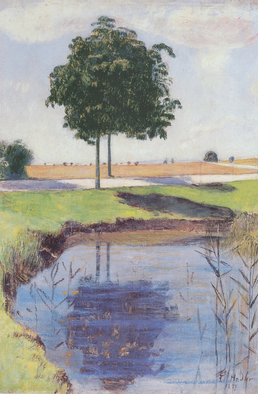 Kastanjetræerne - Ferdinand Hodler