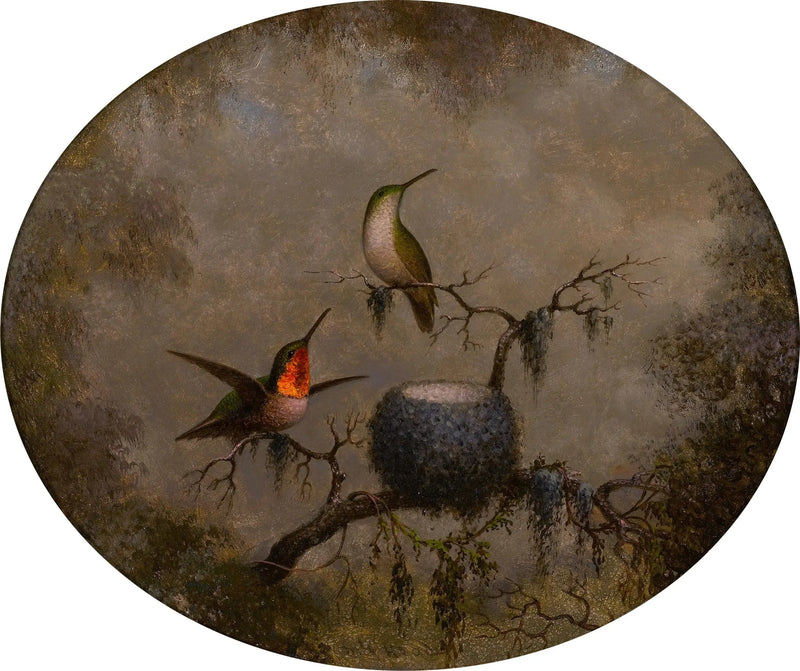 Kolibrier og deres rede - Martin Johnson Heade