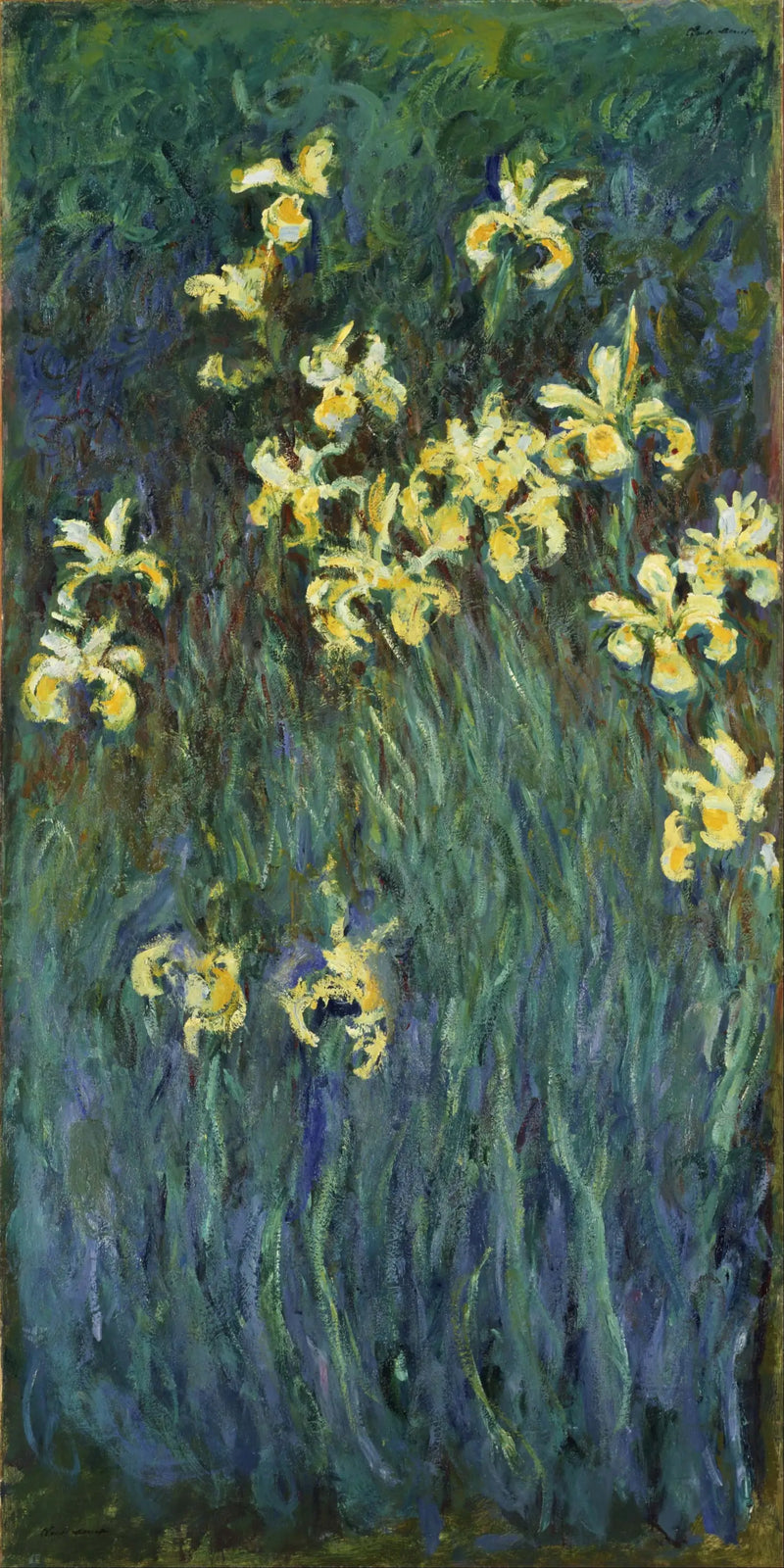 De gule iris - Claude Monet