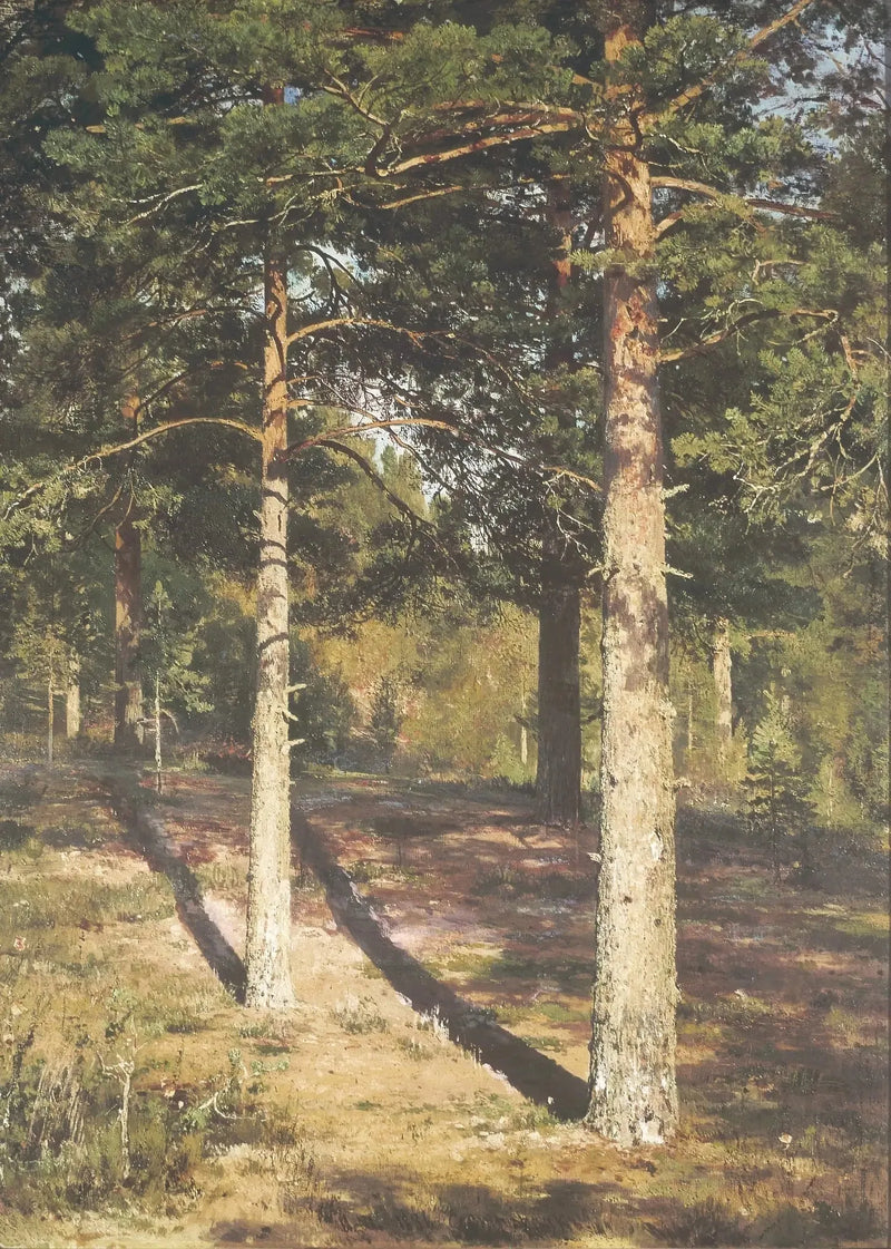 De solrige fyrretræer - Ivan Chichkine