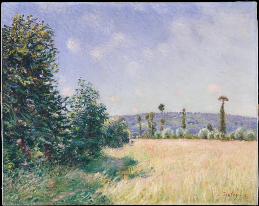 Sletterne i Sahurs i morgenens sol - Alfred Sisley