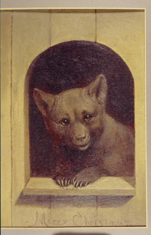 Teddy's juleønsker - William Holbrook