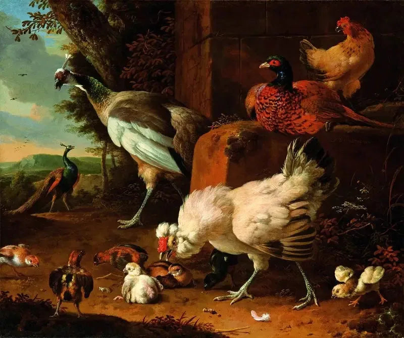 De husdyr med en fasan og påfugle. - Melchior de Hondecoeter