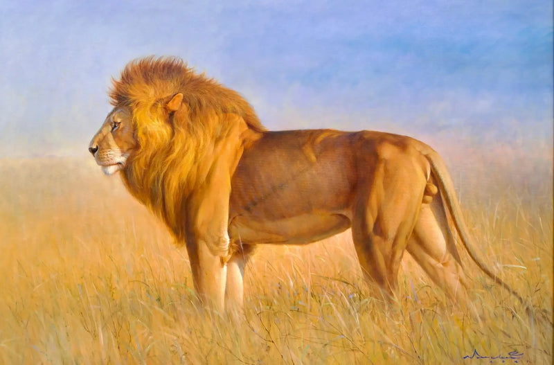 Løve på savannen | 150 x 100 cm