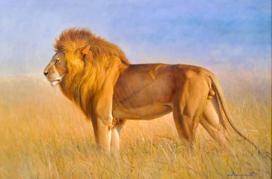 Løve på savannen | 150 x 100 cm
