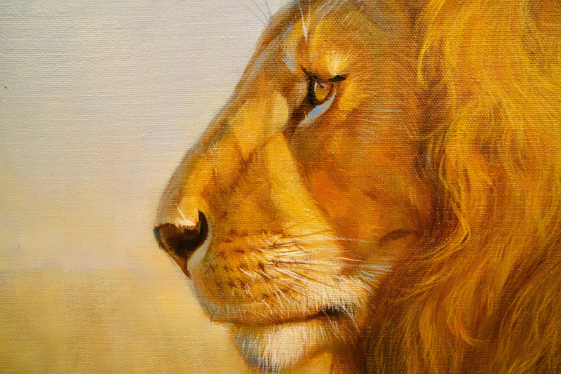 Løve på savannen | 150 x 100 cm