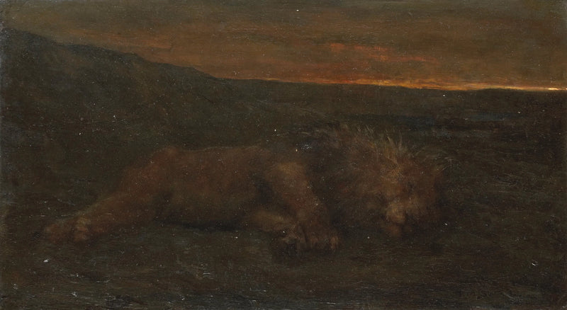 Lion endormi la nuit - John Macallan Swan