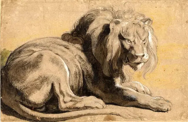 Løve - Peter Paul Rubens