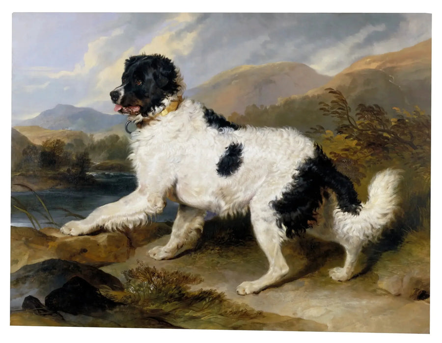 Lion', un chien de Terre-Neuve - Edwin Henry Landseer