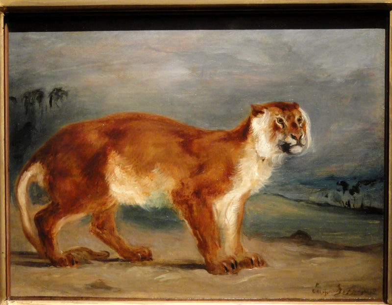Løveinde - Eugène Delacroix