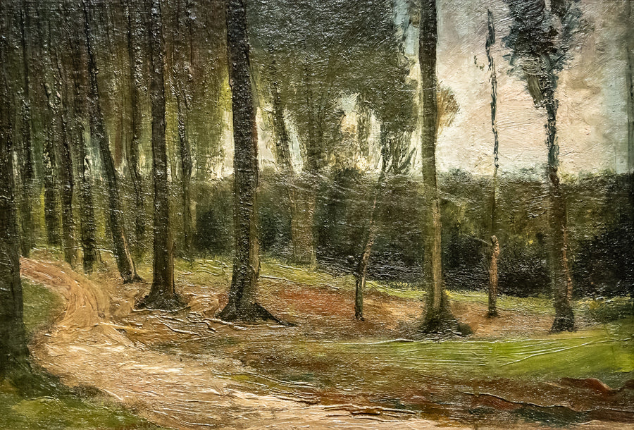 skovkant - Vincent van Gogh