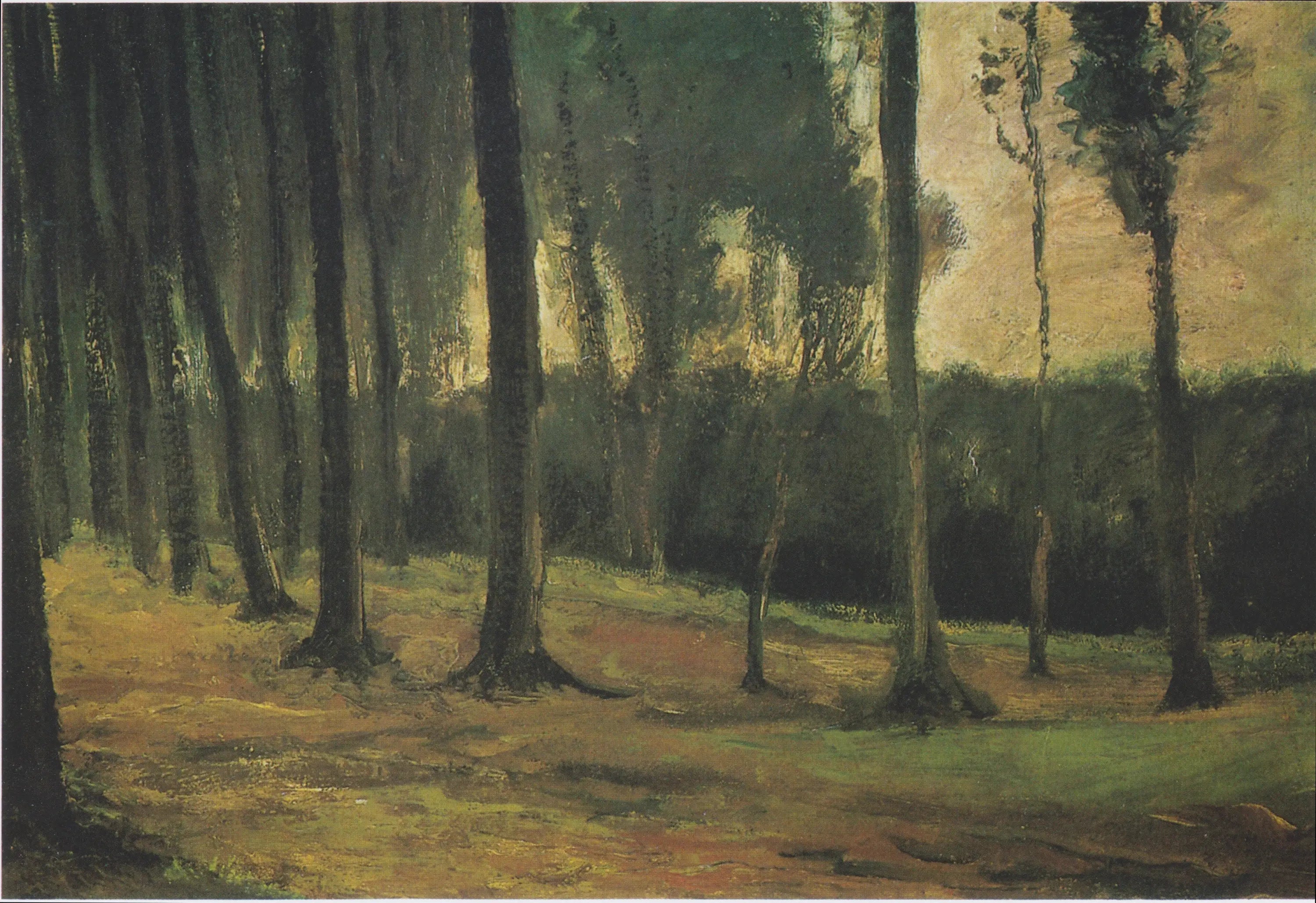 lisière d'un bois - Vincent van Gogh image 1 copie de tableau peinte à la main