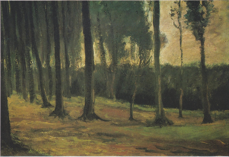 skovkant - Vincent van Gogh