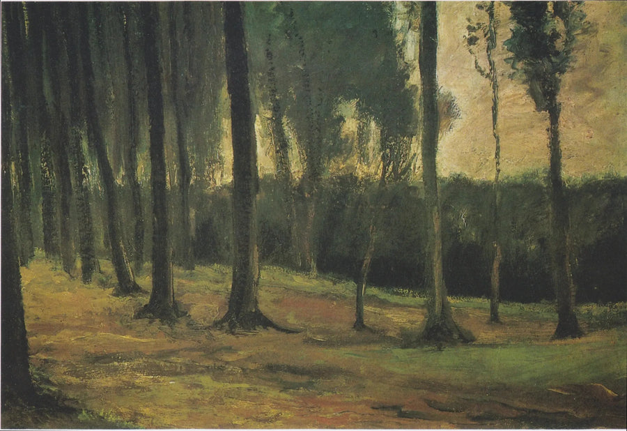 skovkant - Vincent van Gogh