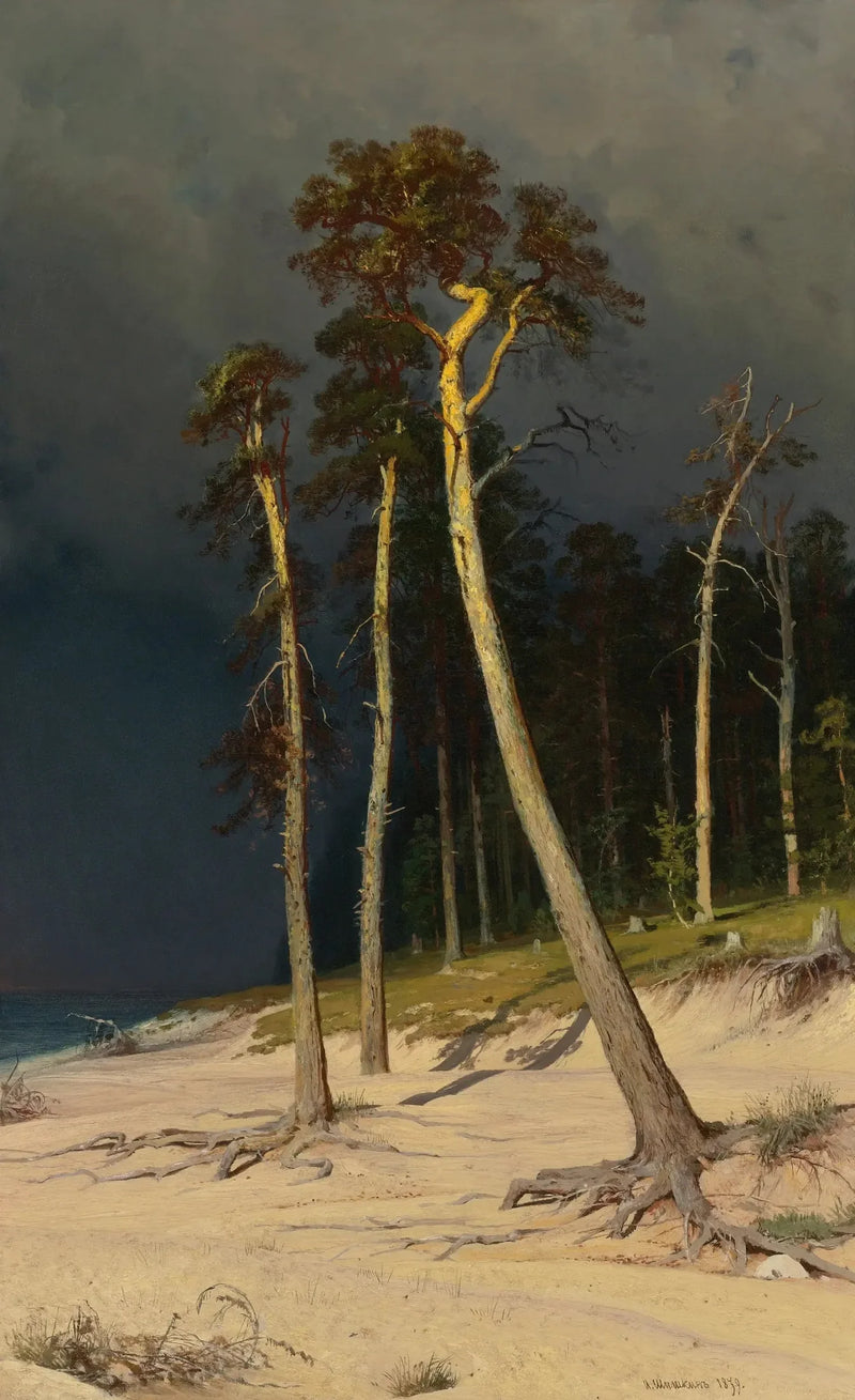 Sandet kyststrækning - Ivan Chichkine