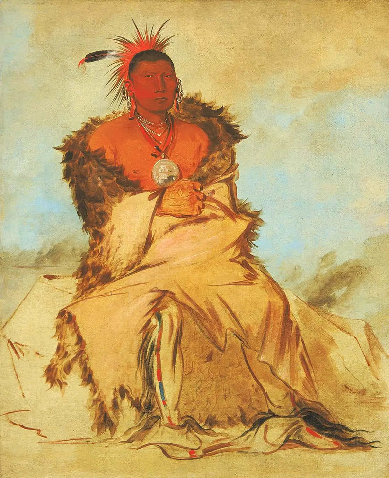 Loo-rá-wée-re-coo, fugle der går i krig, en Pawnee-ramaskrik - George Catlin