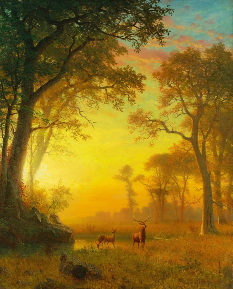 Lys i skoven - Albert Bierstadt