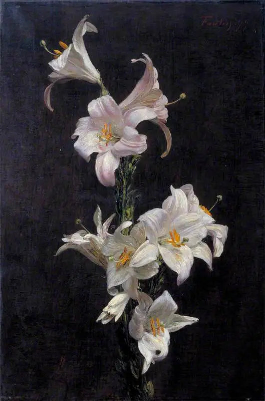 Hvide lys - Henri Fantin-Latour