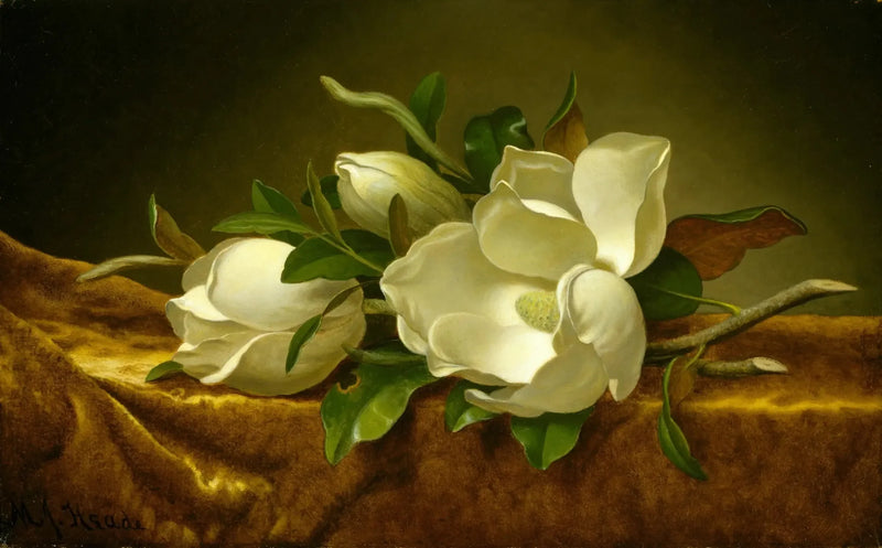 Magnolier på guldfløjlstof - Martin Johnson Heade