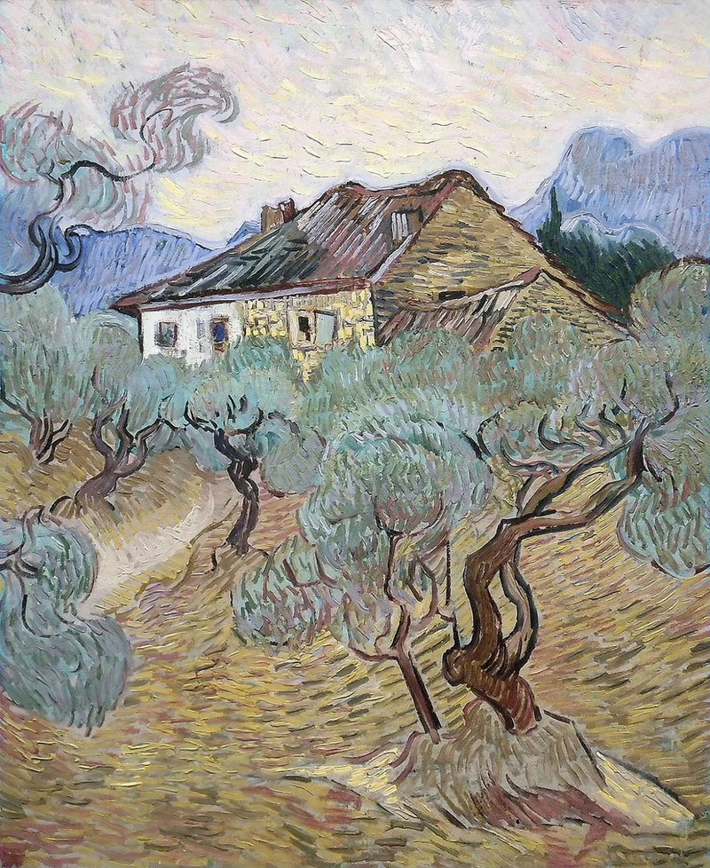 Det hvide hus blandt oliventræerne - Vincent van Gogh