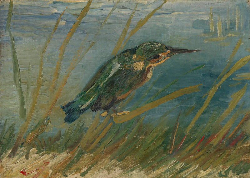 Isfugl ved vandkanten - Vincent van Gogh