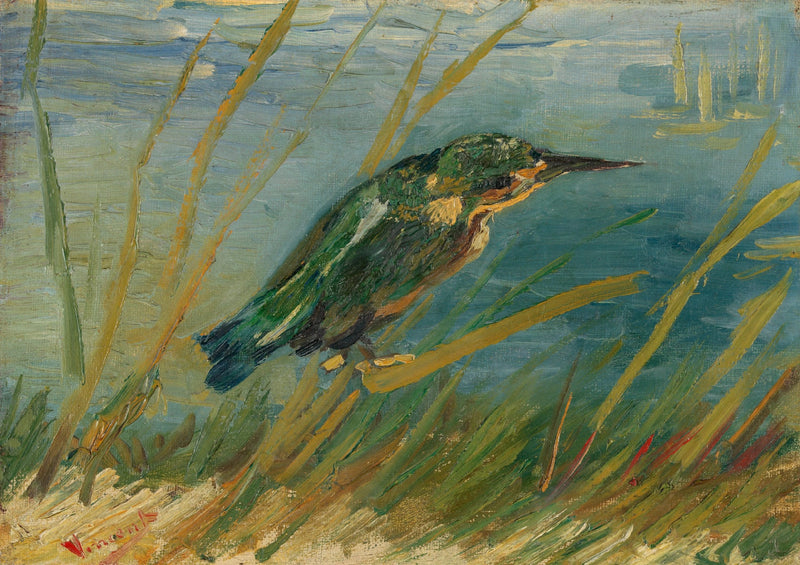 Isfugl ved vandkanten - Vincent van Gogh