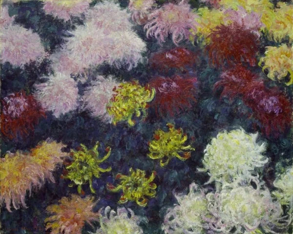 Massiv af krysantemum - Claude Monet