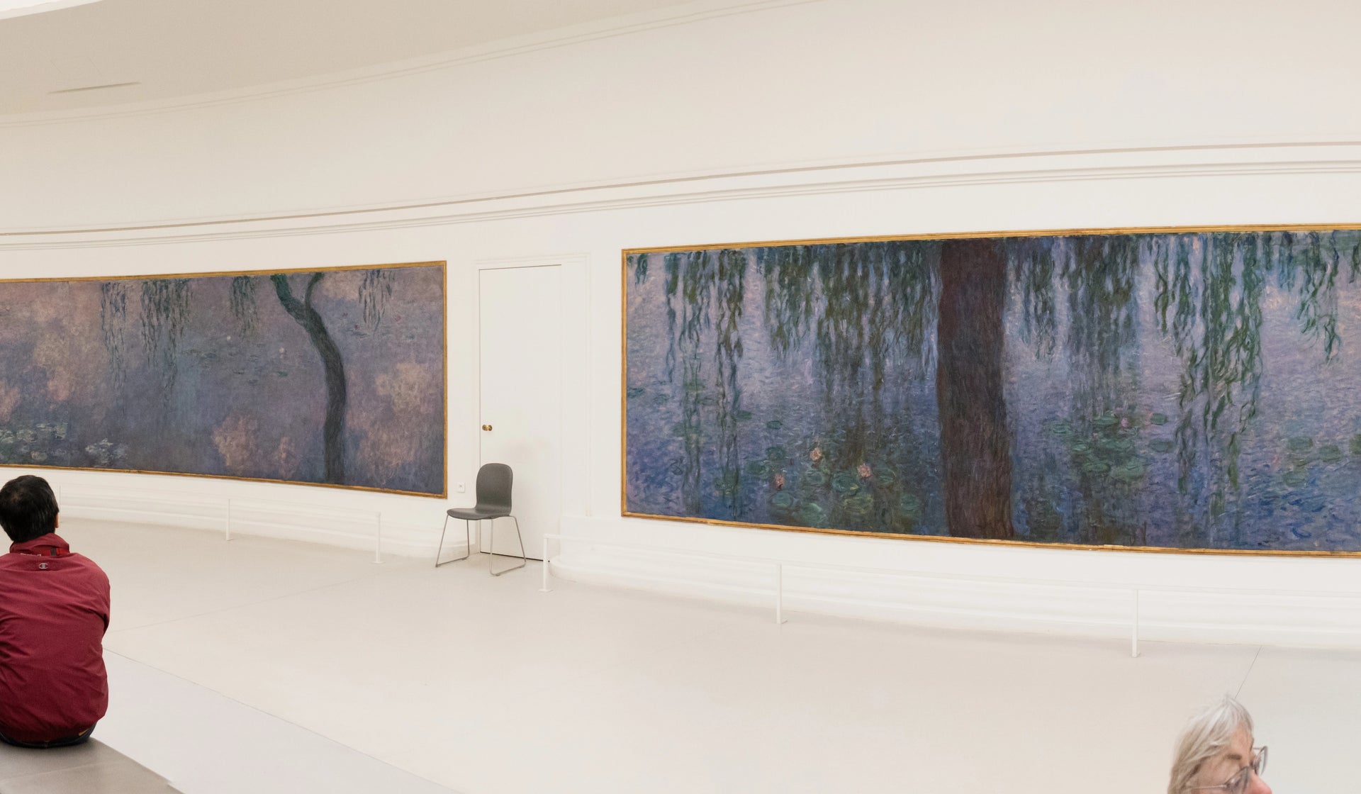 Le Matin clair aux saules photographié dans la seconde salle des Nymphéas à l’Orangerie