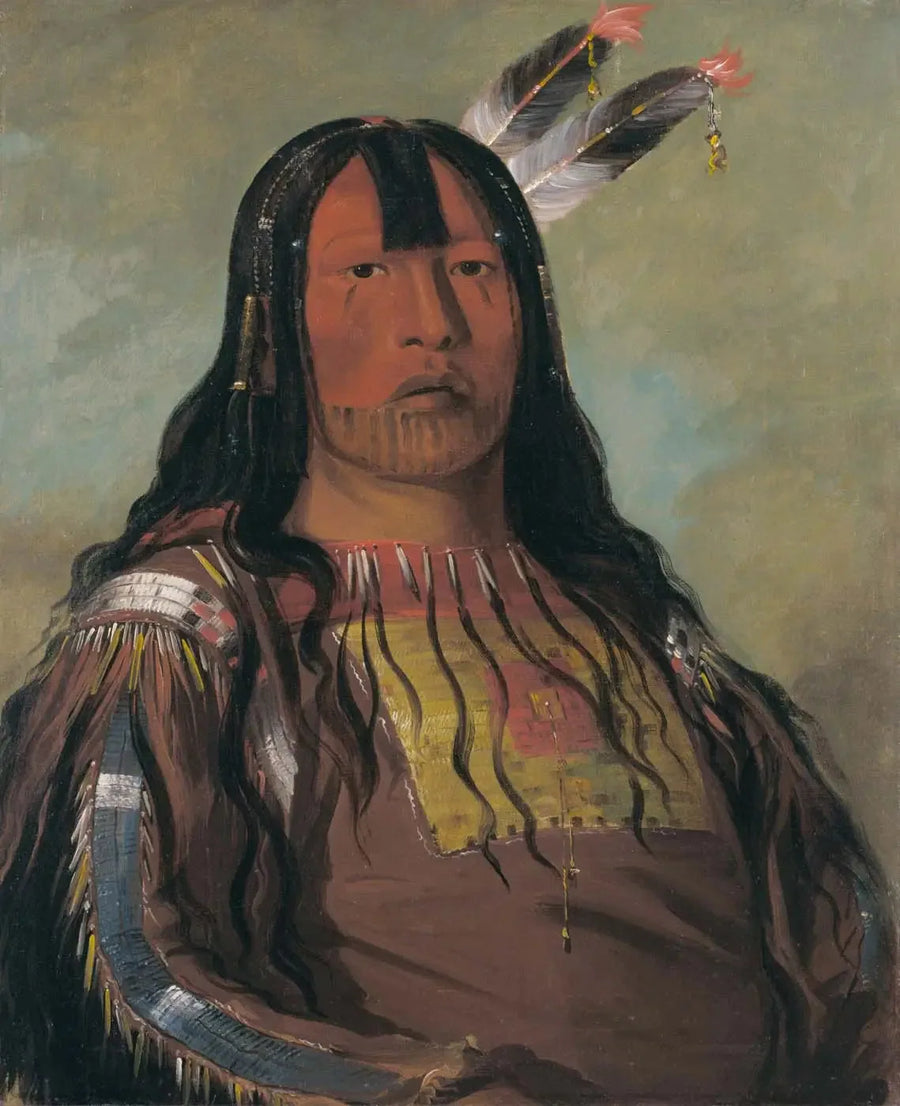 Mix-ke-móte-skin-na, Jernhorn, en Kriger - George Catlin