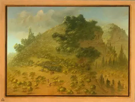 Rhododendronbjergene - George Catlin