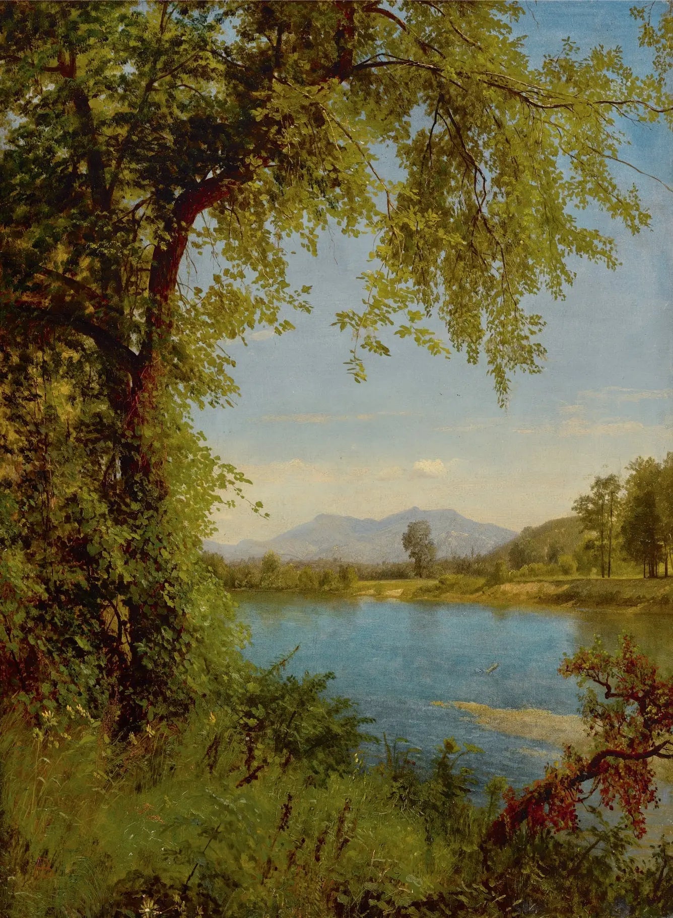 Montagnes des Douves Sud et Nord - Albert Bierstadt - Alpha Reproduction