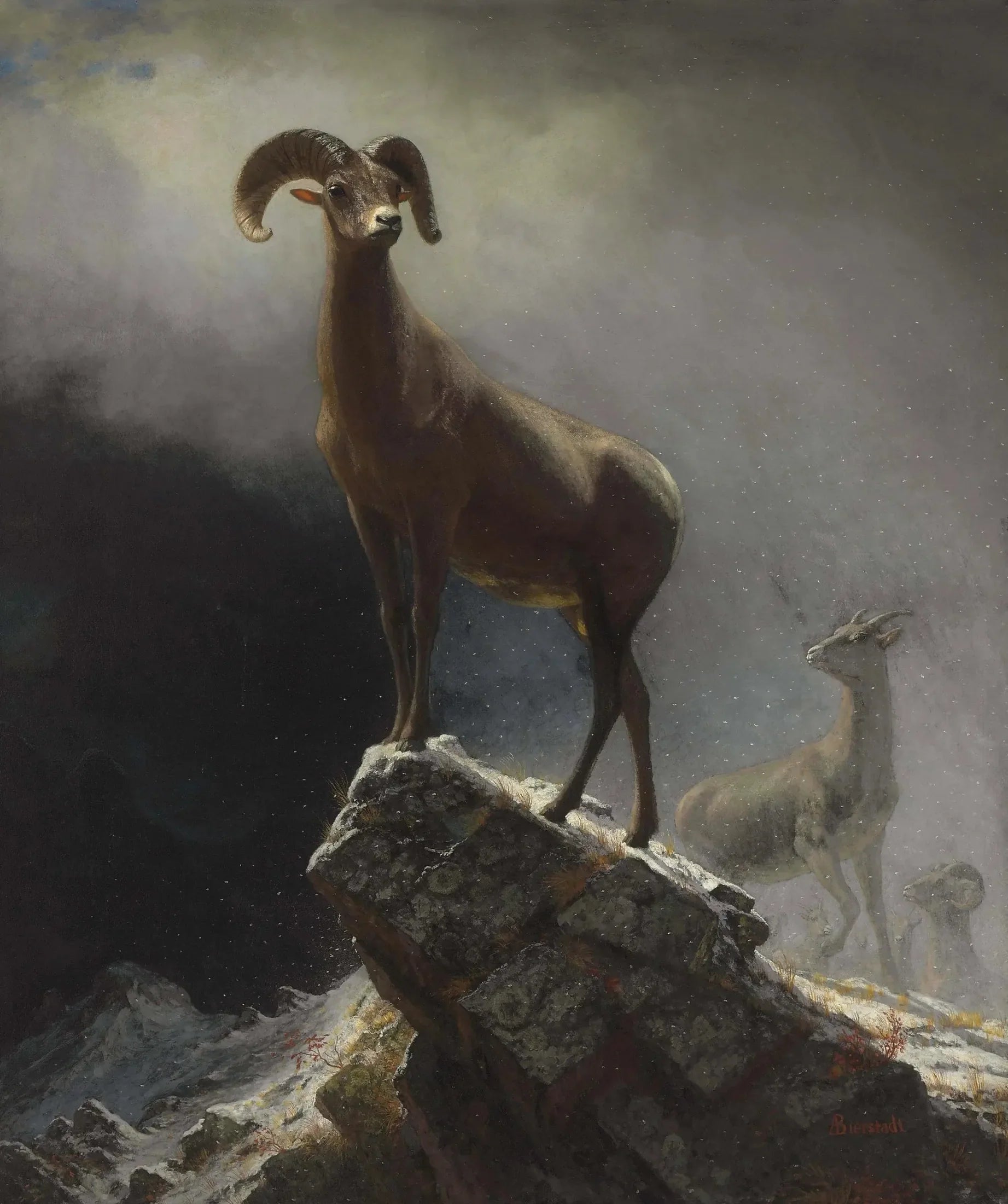 Mouflon des montagnes Rocheuses - Albert Bierstadt image 1 tableau peint à l’huile sur toile