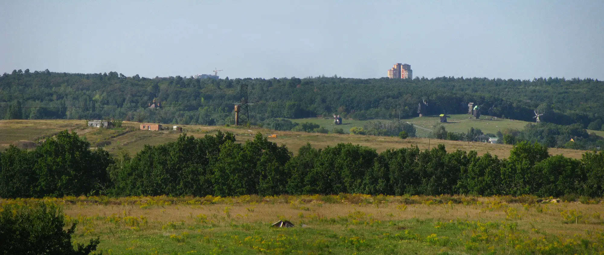 Moulin à vent dans le champ - Ivan Chichkine image 1 reproduction artisanale de tableau