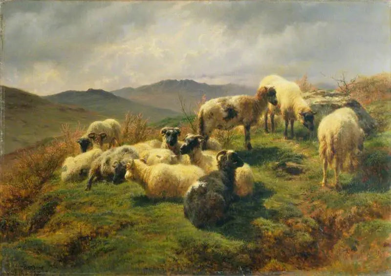 Moutons dans les Highlands - Rosa Bonheur