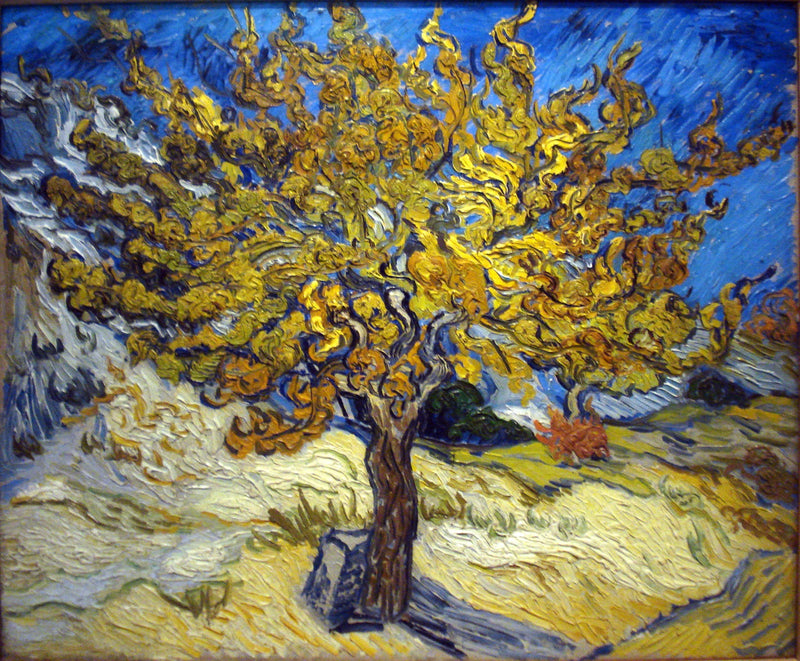 Morbærtræet - Vincent van Gogh