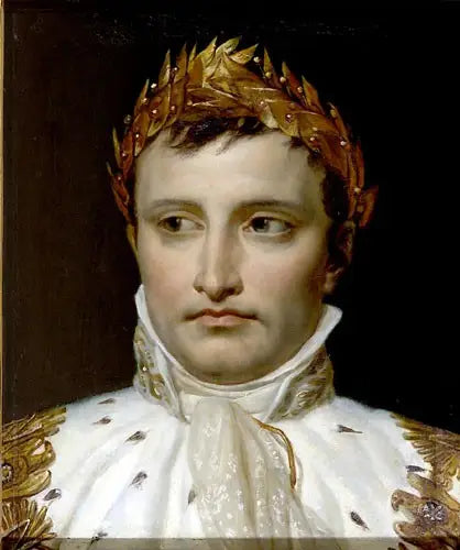 Napoleon, kronehoved - Jacques-Louis David