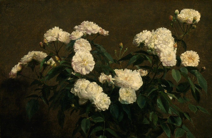 Stillleben med hvide roser - Henri Fantin-Latour