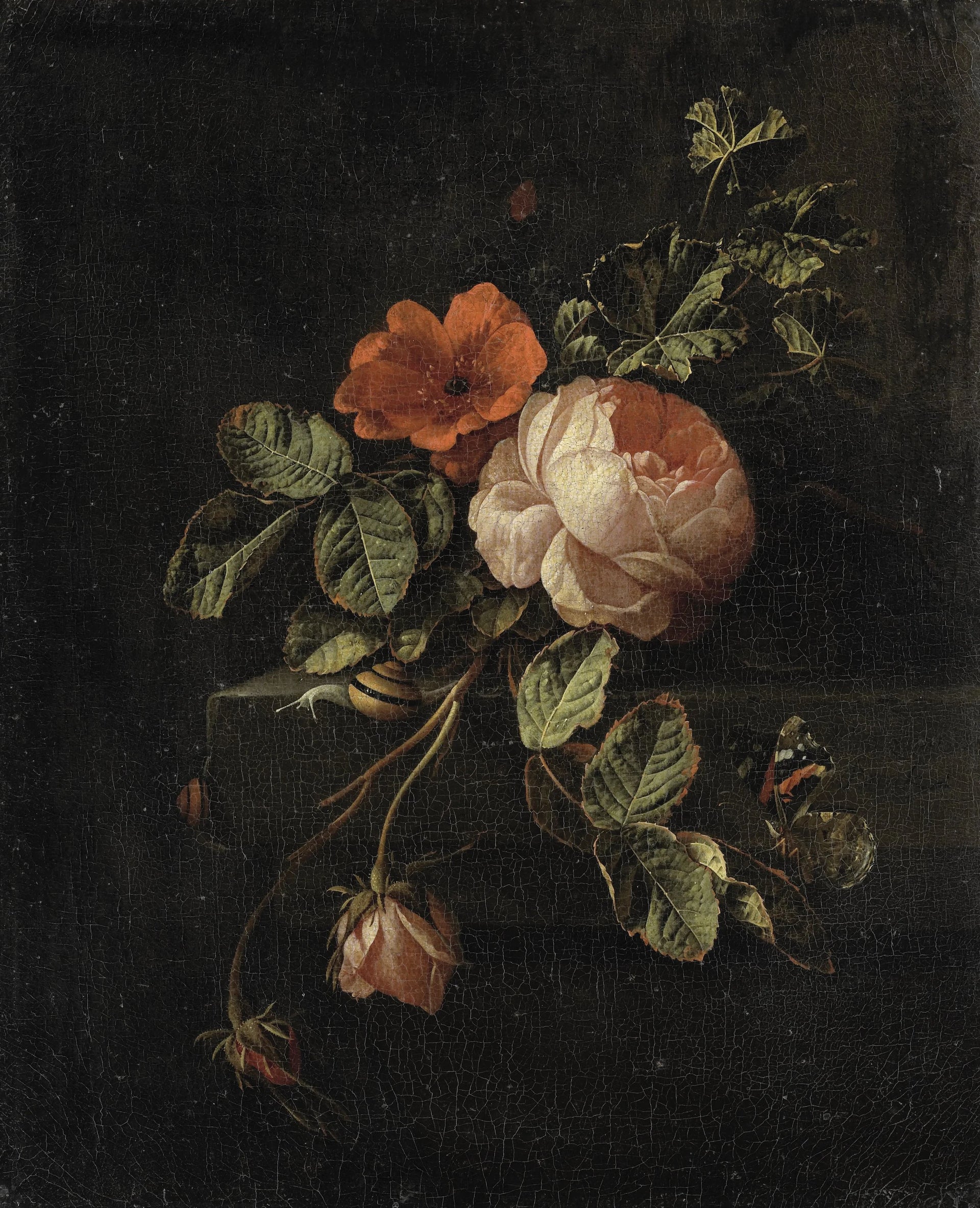 Nature morte aux roses - Elias van den Broeck