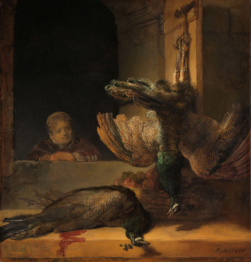Naturtro til påfugle - Rembrandt