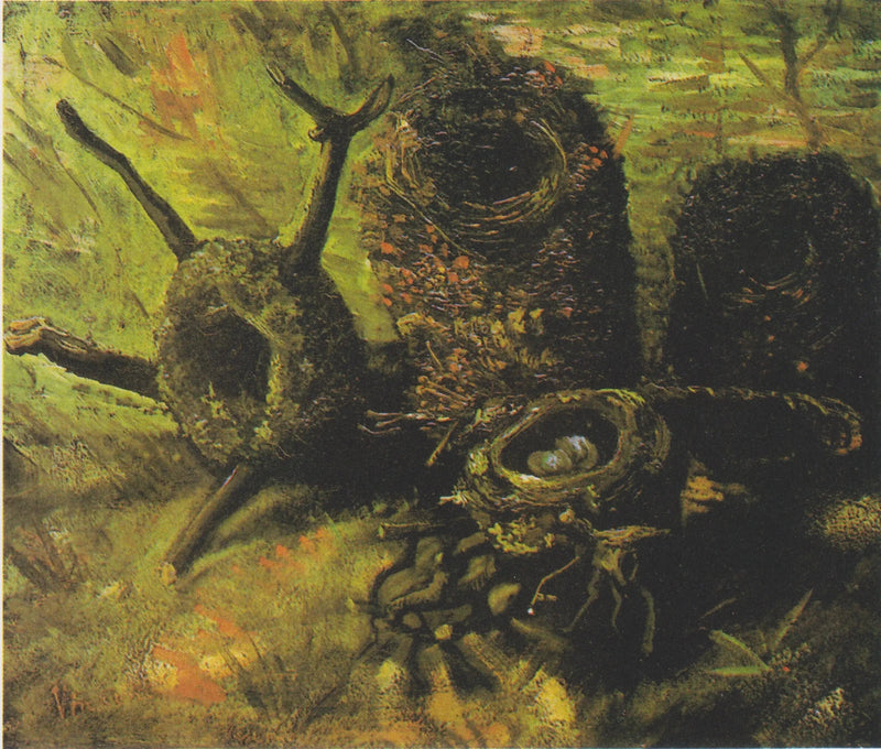 fuglereder - Vincent van Gogh