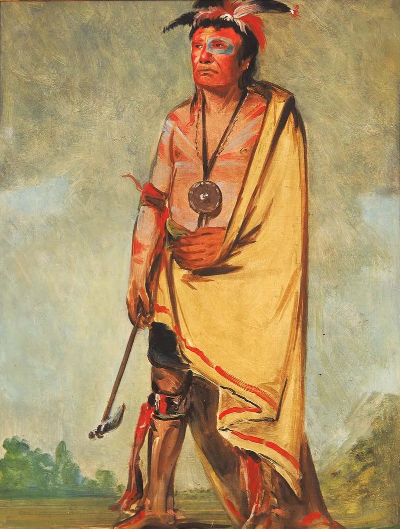 No-ak-chóo-she-kaw, Den der bryder buskene - George Catlin