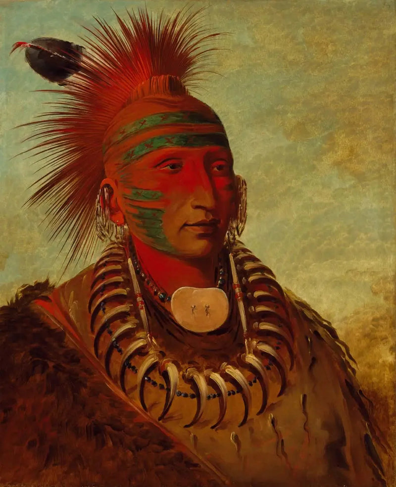 No-ho-mun-ya, Den, der ikke lægger mærke til noget - George Catlin
