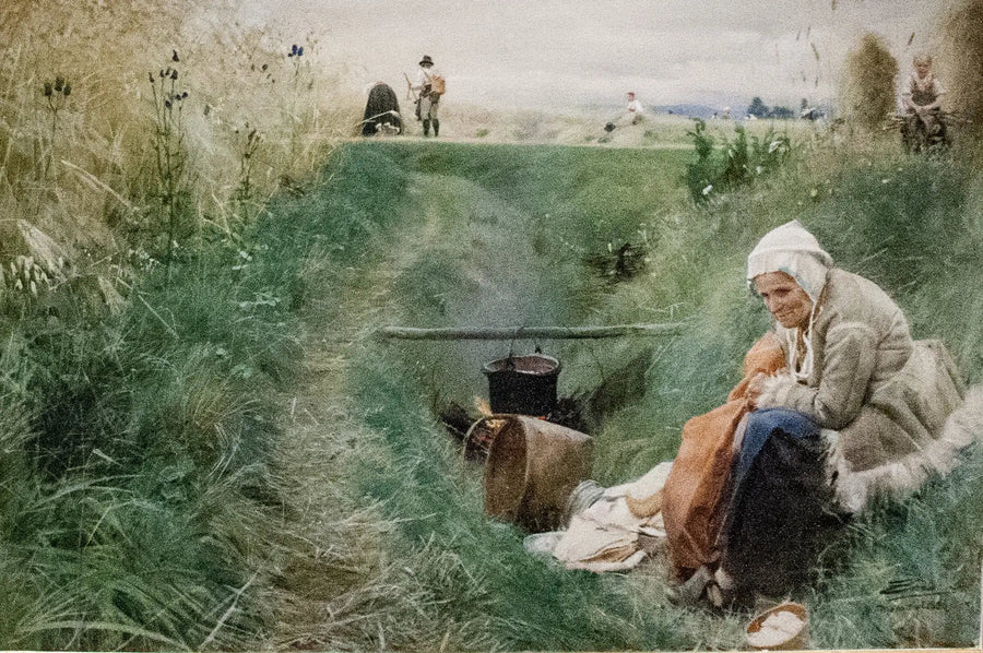 Vores daglige smerte - Anders Zorn