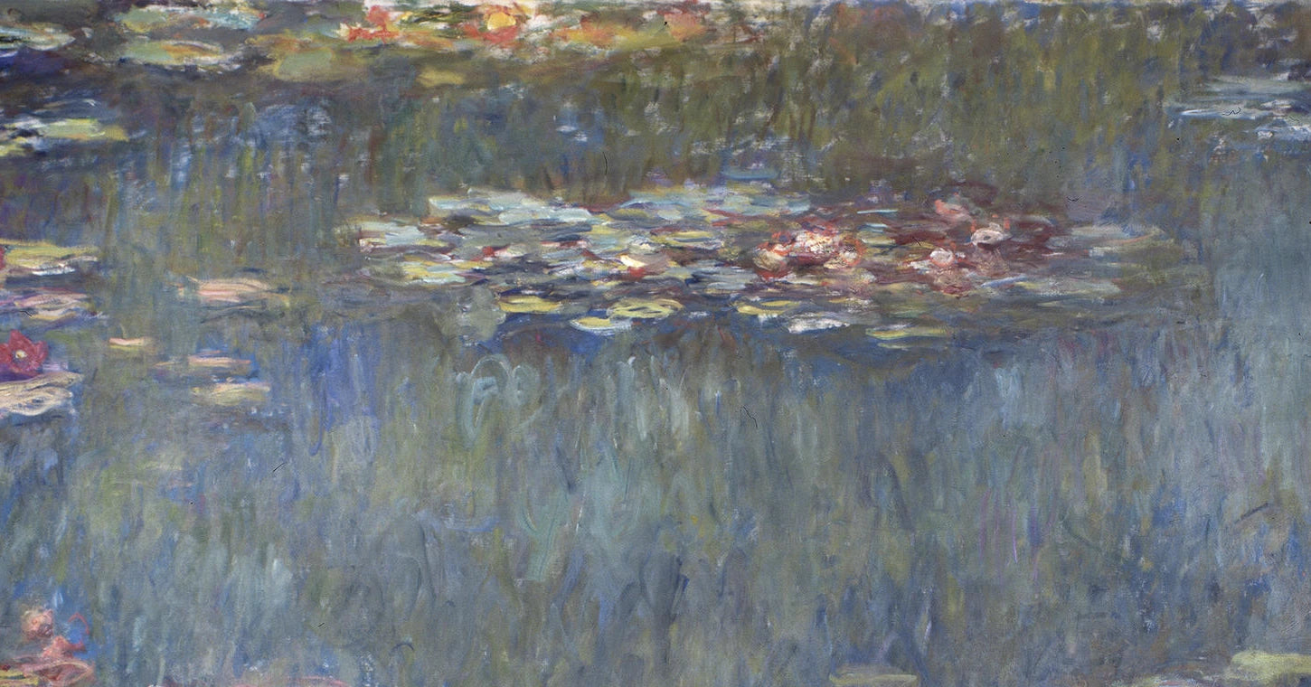 Détail de la surface de l’eau, des feuilles claires et des fleurs du panneau panoramique