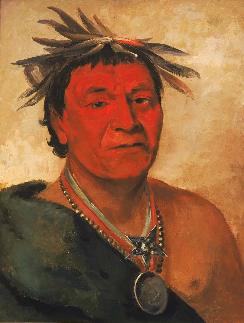 O-ho-páh-sha, Small Whoop, en udmærket kriger - George Catlin